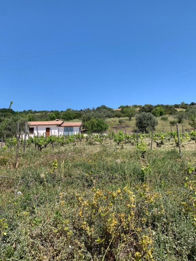 Villa Paradiso Montegiordano Bagian luar foto